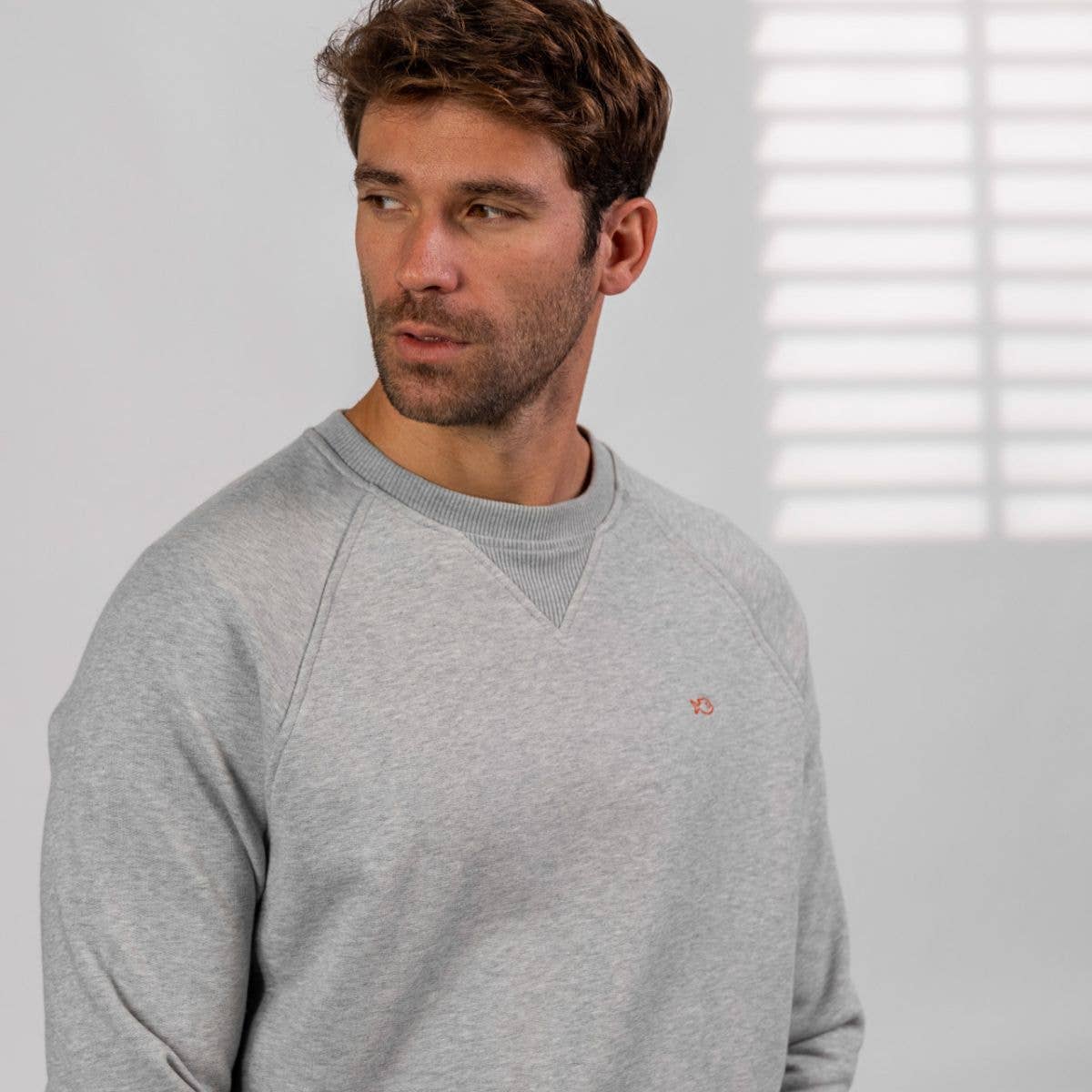 Mens casual 100% organic cotton sweatshirt - Light grey