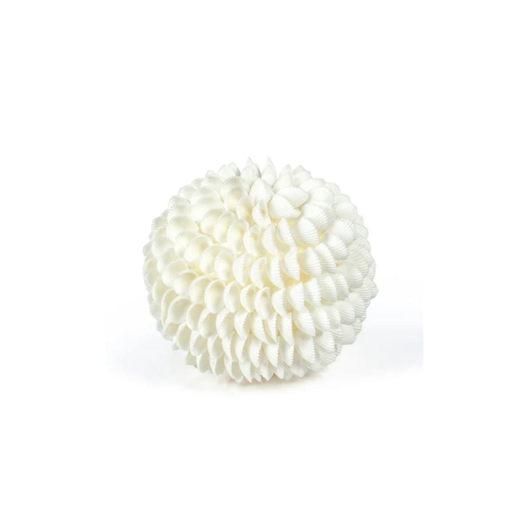 Natural Seashell Fill Ball