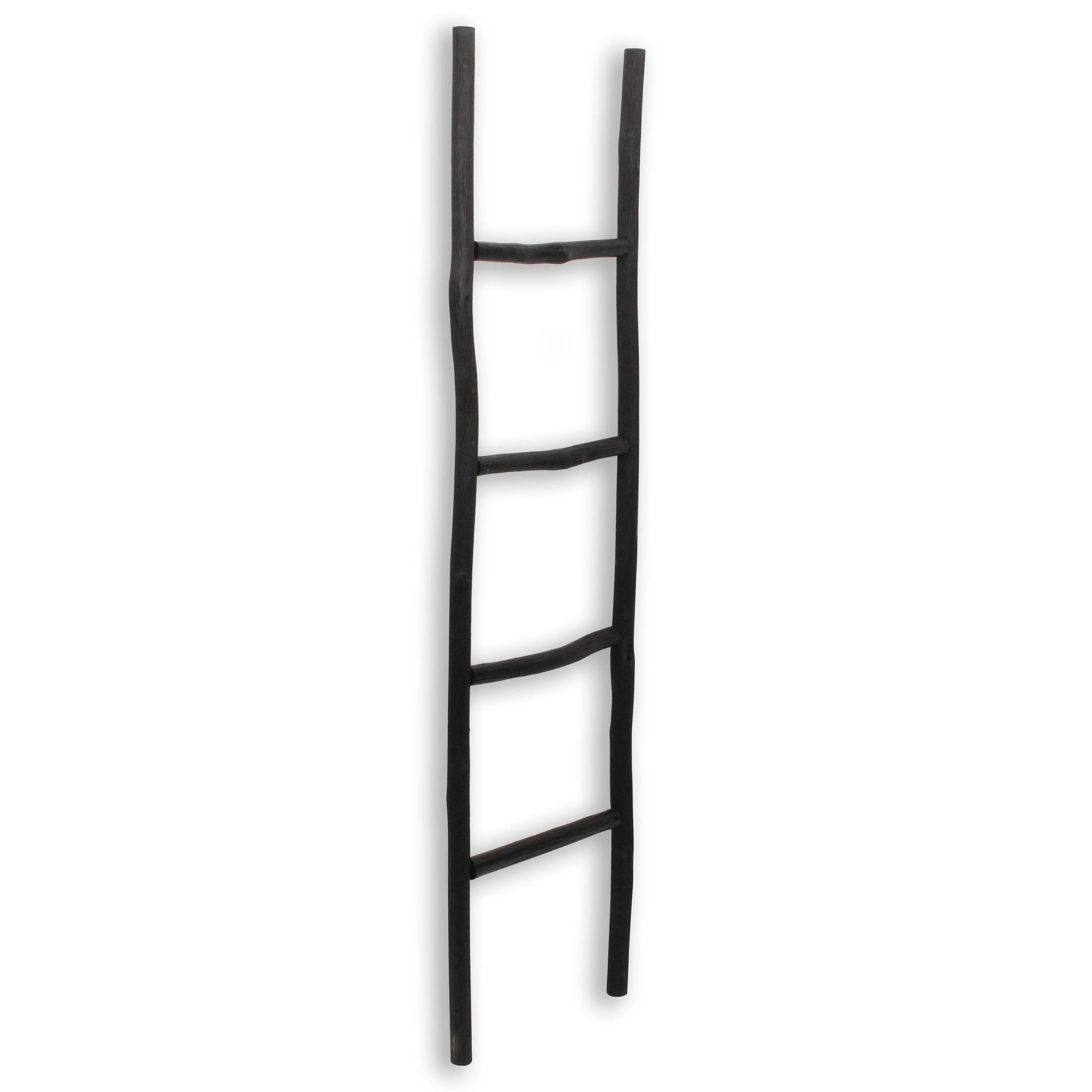 Theron Wood Ladder