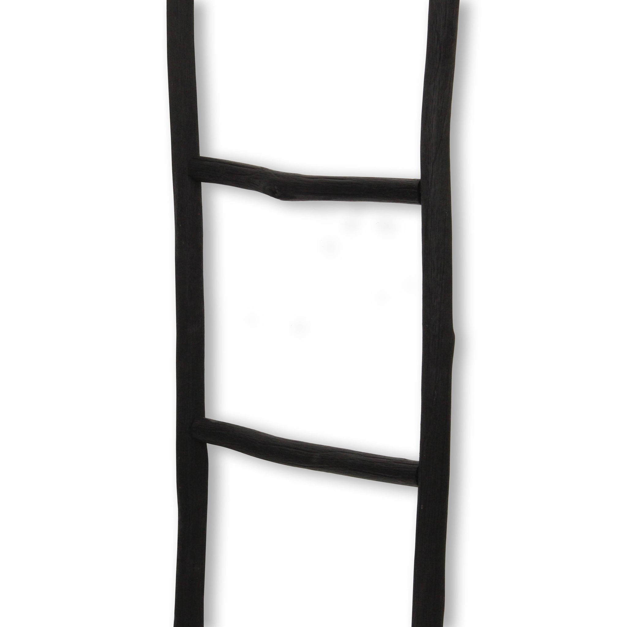 Theron Wood Ladder