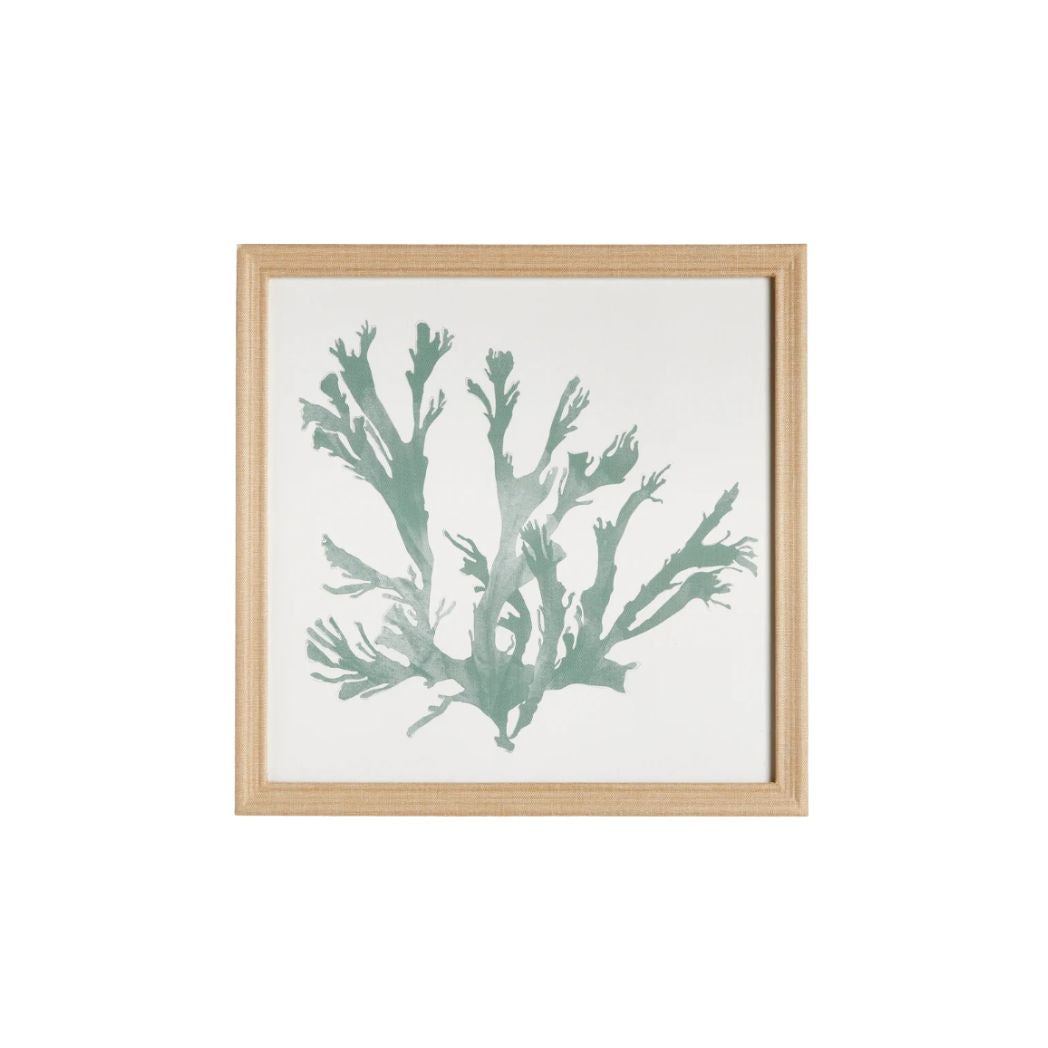 CORAL SILHOUETTES IN SOFT GREEN