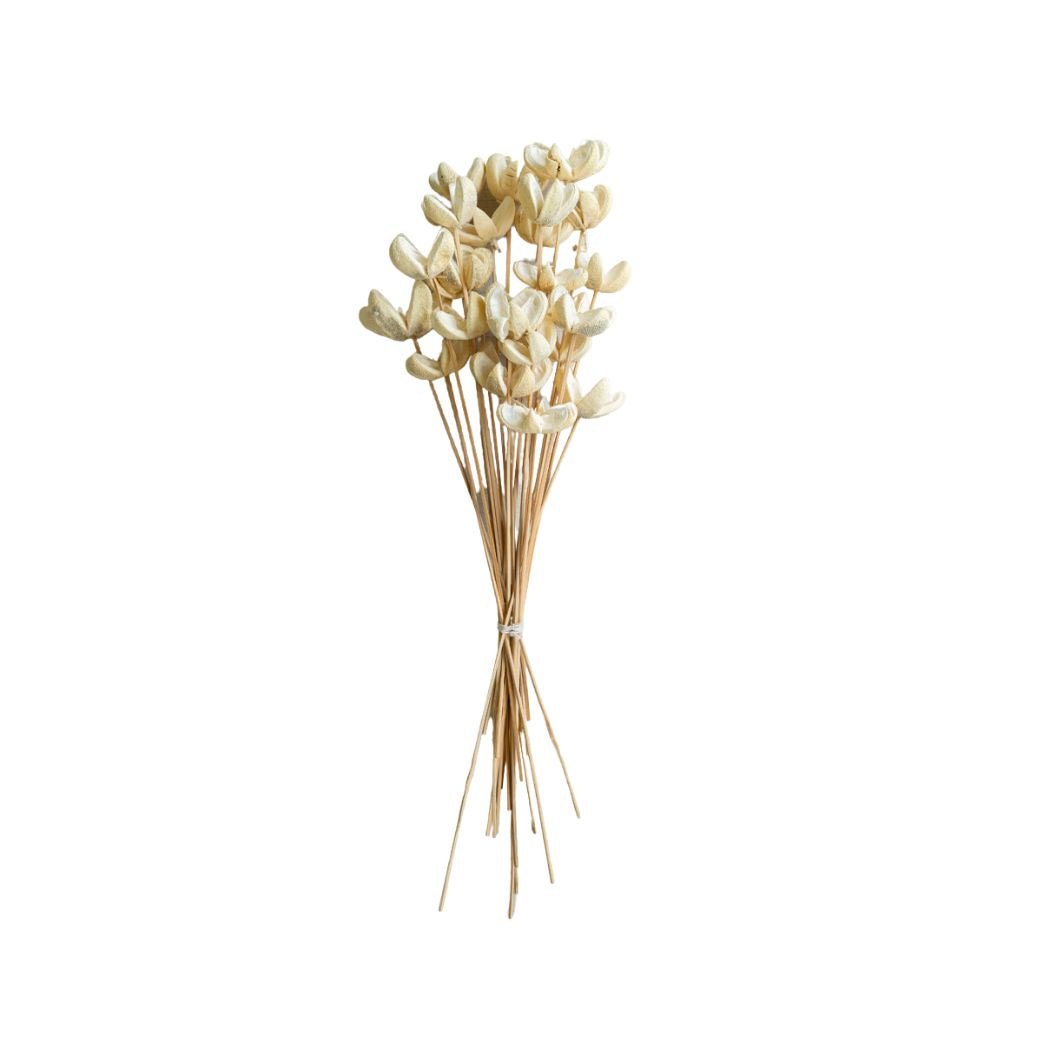 Bleached Bullet Flowers on Stems- Bundle of 24