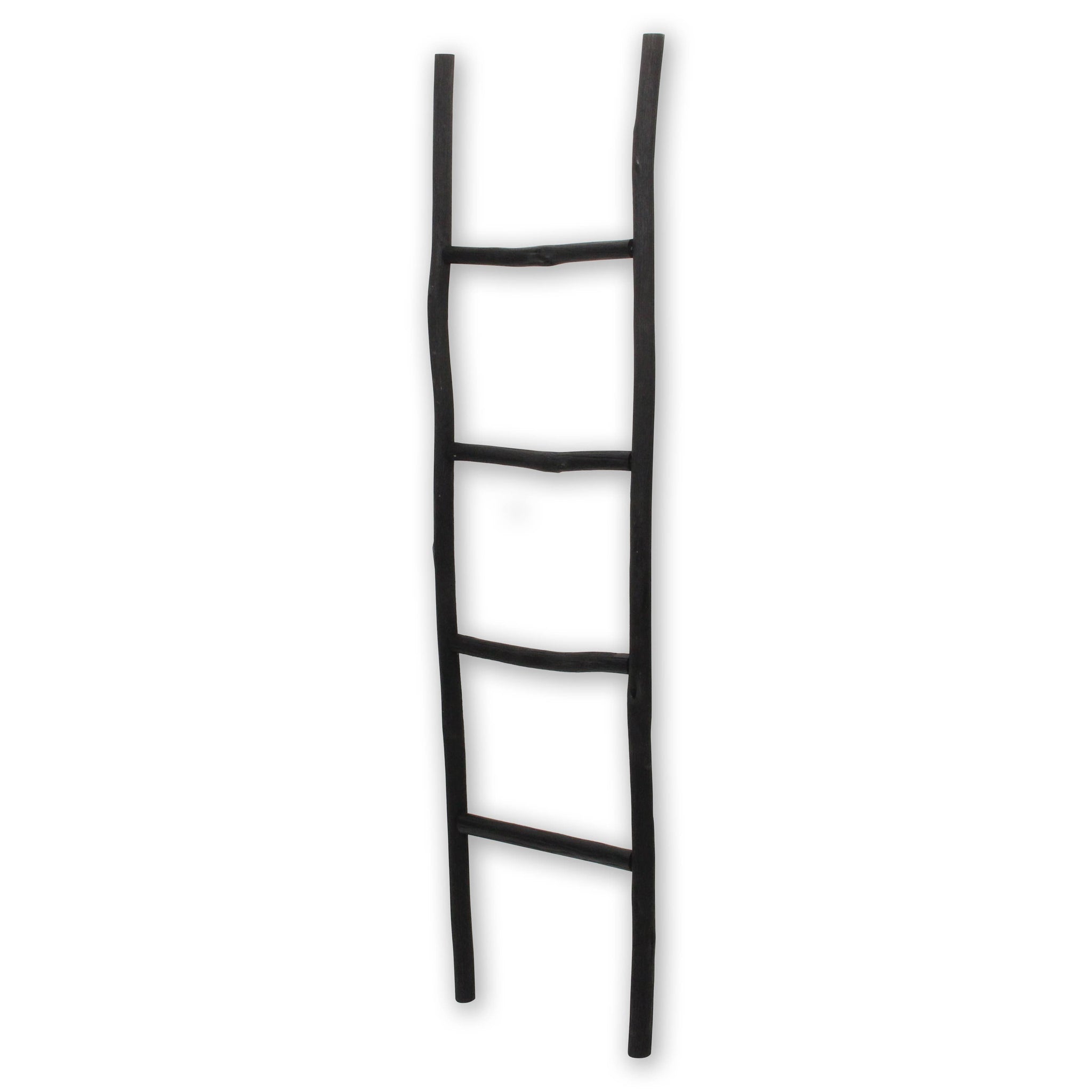 Theron Wood Ladder