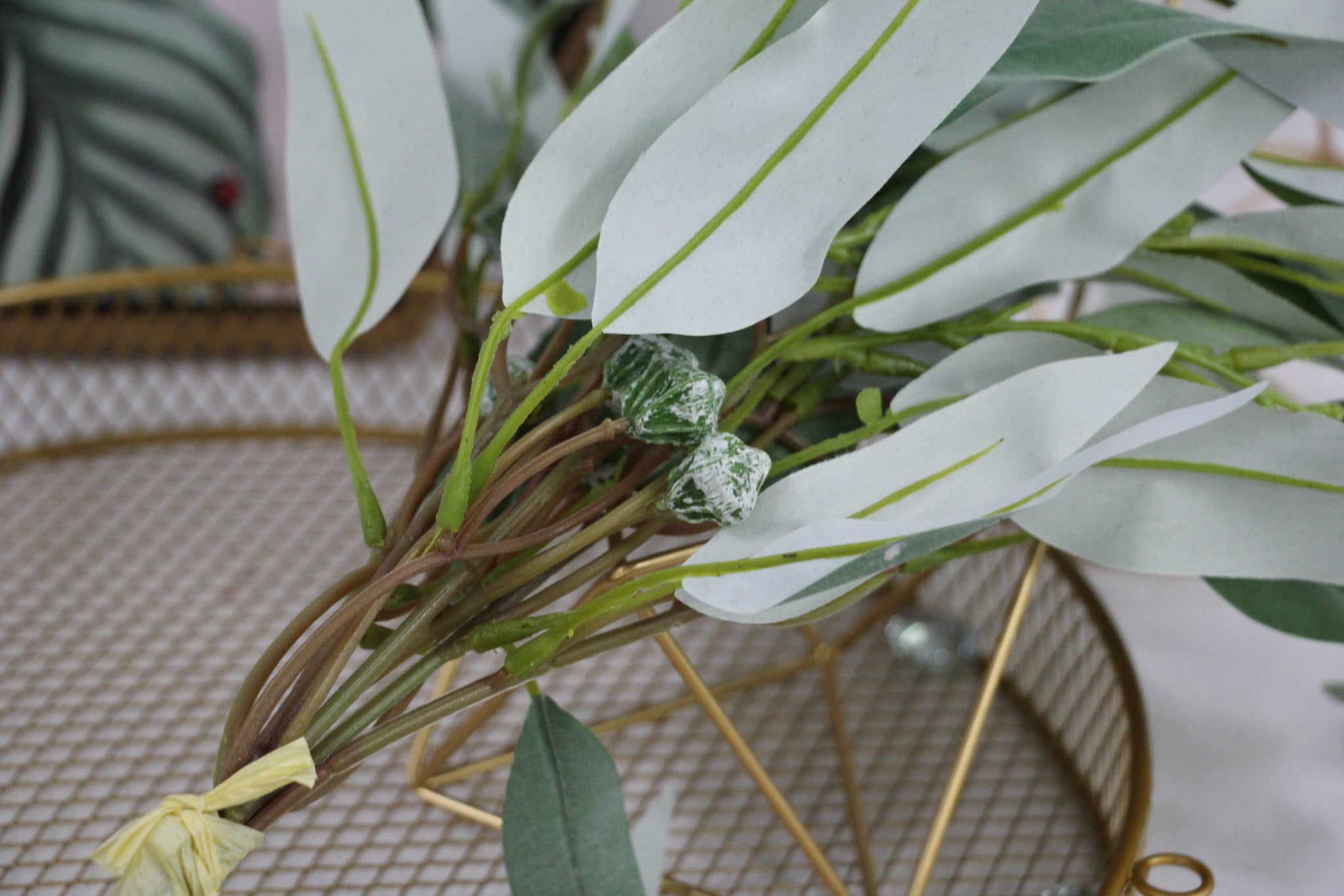 Willow leaf spray bundle grey green